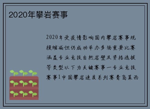 2020年攀岩赛事